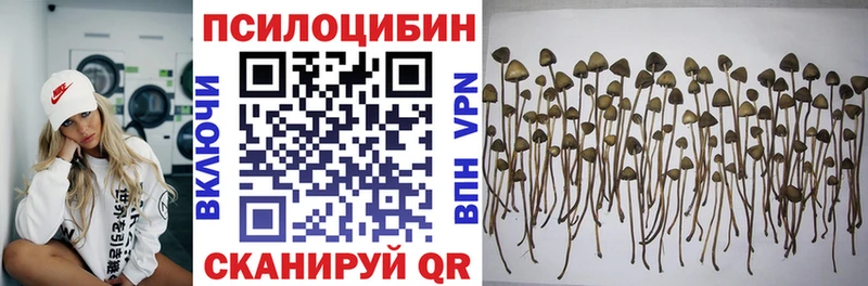 Галлюциногенные грибы прущие грибы Геленджик